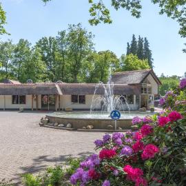 Koning te Rijk, hotel a De Bult