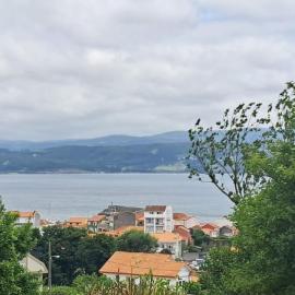 Meraki