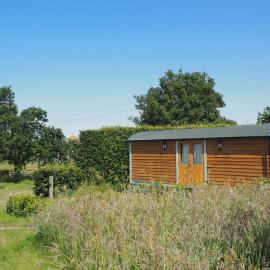Teasel Shepherd's Hut
