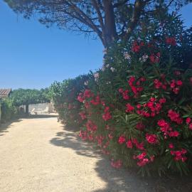 Bienvenue en Provence, hotel em Monteux