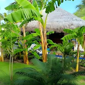 Casa Mandala- Kite Village, hotel in Icaraí