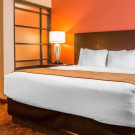 Comfort Inn & Suites and Conference Center, hotel in Mount Pleasant