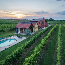 Casa VIDA