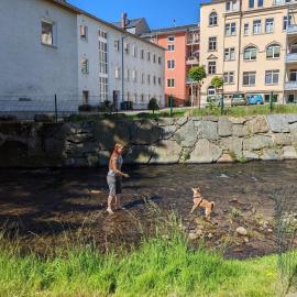 Urlaubsmagie Ferienwohnung Fledermaus - Gemeinschaftsgarten mit Sauna - F1B, hotel in Sebnitz