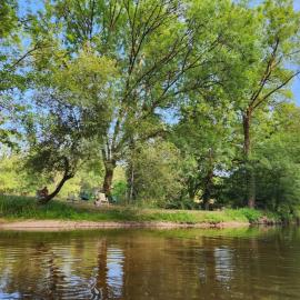 Demeure périgourdine, prairies et accès rivière