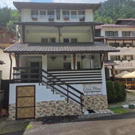 Pensiunea Flora - PISCUL NEGRU, khách sạn ở Cumpăna
