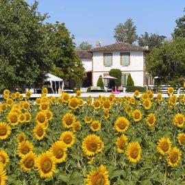 residence la Salamandre kamers: Rabastens şehrinde bir otel