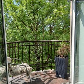 Elegant City Center Duplex with French Balkony