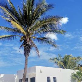 Chelem में, होटल Casitas Gemelas En Puerto Chelem