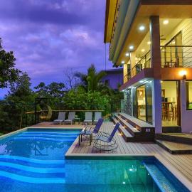 Breathtaking Jungle Views and Abundant Wildlife