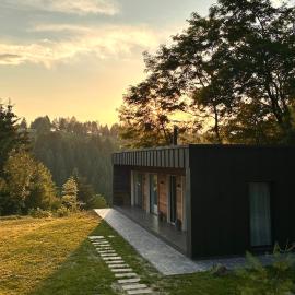 Cabana Forest, hotel in Borşa