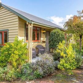 Shy Cottage