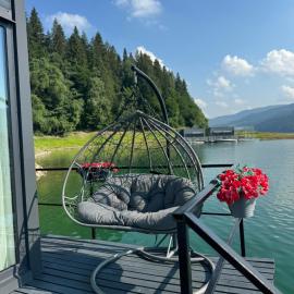 Black Swan Lakehouse