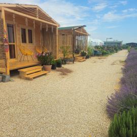 Mar a Lago Glamping23, hotel in Douăzeci şi Trei August