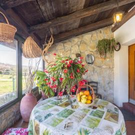 Rural Apt Lea for 2 /w Terrace - Happy Rentals, hotel in Šmarje