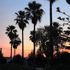 Finca Los Olivos & spa, animaux, hotel a Utrera