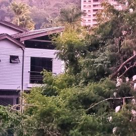Casa Moderna bem no centro da Cidade de Socorro