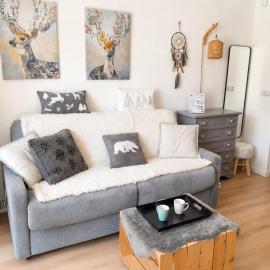 Studio Le Cocon des Cimes Point Show Pelvoux residence