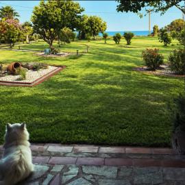 Nisaki Seafront Villa