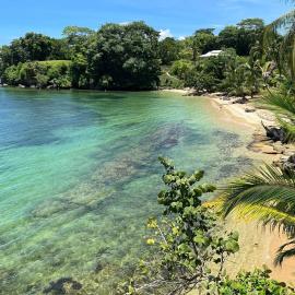Spot on Drago, Hotel in Bocas del Toro