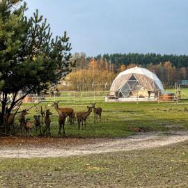 Targówka में, होटल Ranczo Targówka - Domki i Glamping z balią i sauną wśród natury i zwierząt