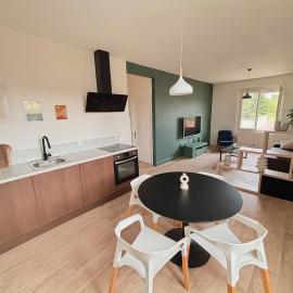 Large bright, designer et air-conditioned 1 bedroom apartment Castres