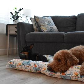 Pet-Friendly Cottage 15 Min to St Pete Beach, hotel in St. Petersburg