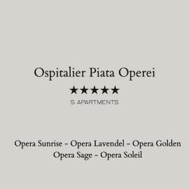 Ospitalier Piata Operei - 5 spacious apartments in City Center, hotel in Timişoara