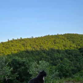 Agricampeggio Ervira