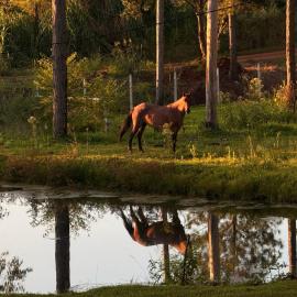 MadreSelva Refugio de Campo, hotel a Guaraní
