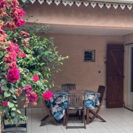 Bougainvilliers
