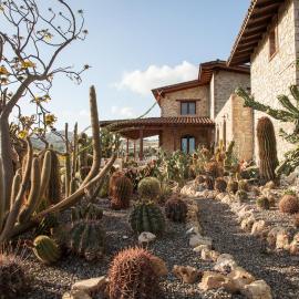 Relais Garden Cactus B&B，法瓦拉的飯店