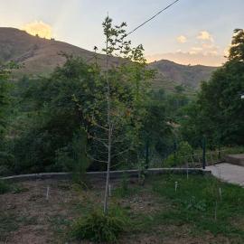 Flat in mountains, hotel in Yangiobod