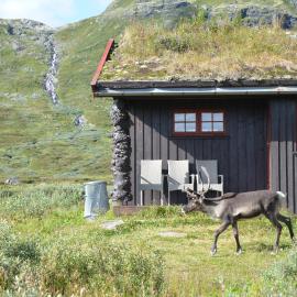 Tyinholmen hytter, hotel di Eidsbugarden