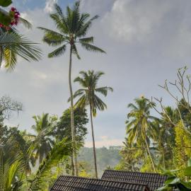 Ayung Melasti Wooden House