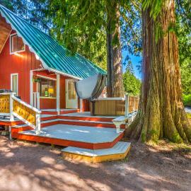 Riverfront Cabin Hot Tub Dogs OK Near Mt Rainier: Greenwater şehrinde bir otel