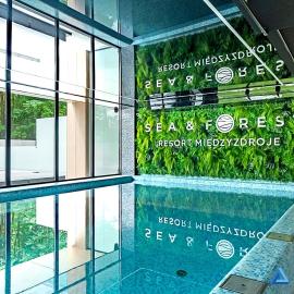 365PAM - Apartament Sea & Forest - BASEN KRYTY I ZEWNĘTRZNY, JACUZZI, SAUNA, GARAŻ W CENIE