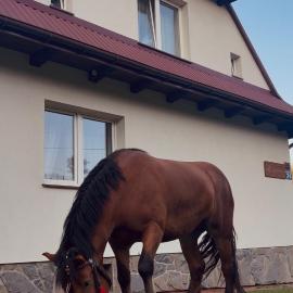 Apartamenty & Domek Gawędówka, hotel u gradu 'Krościenko'