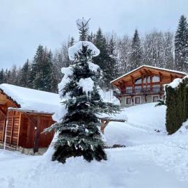 Edenblanc, hotel in Arâches-la-Frasse