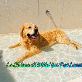B&B La Chicca di Milu' for Pet Lovers, un'oasi pet-friendly tra mare e campagna – hotel w mieście Alcamo