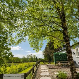 Killicreny Bridge에 위치한 호텔 Birch Valley Accommodation Tinahely Wicklow