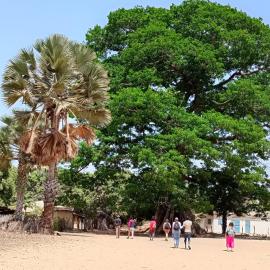 SEN-CASA- TOURiSME, hotel in Kabadio