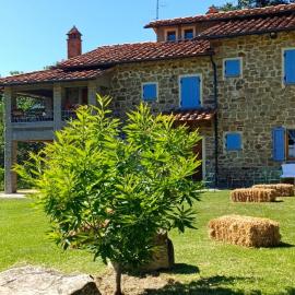 Country Hill B&B