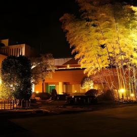 New Sunpia Onsen Resort and Hotel Saitama Ogose, hotel in Ogose