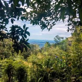 The Blue Crest Green Haven Lodges, hotel in Badulla