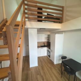 StayCentralcz- Design, hotel in Opava