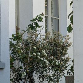 Rusthall Prospect House