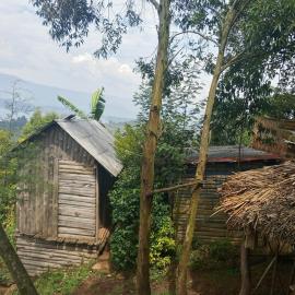 Sunshine Homestay Experience Bunyonyi