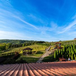 Hotel Winnica Maria Anna, hotel v destinaci Czudec