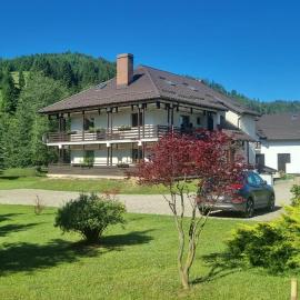 Pensiunea Irina, hotel v mestu Vama